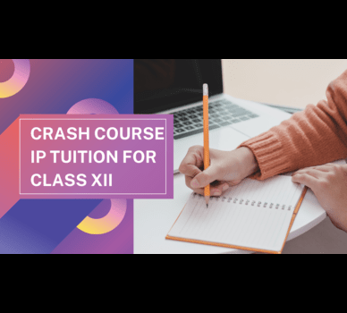 Crash course for Information practices Tuition