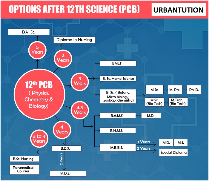 Biology career options after 12th